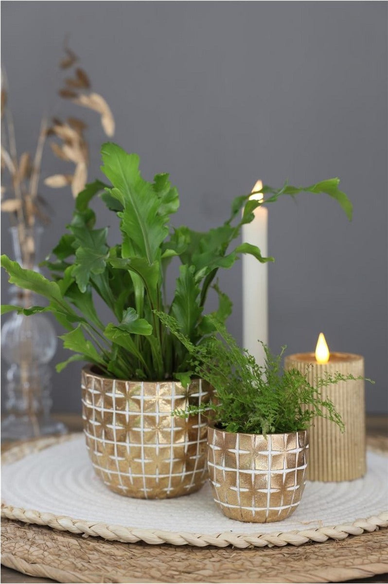 Pot de fleurs hanoi Ø17,6 x h:14,4 cm or (3 Pcs) [IFS-33855]