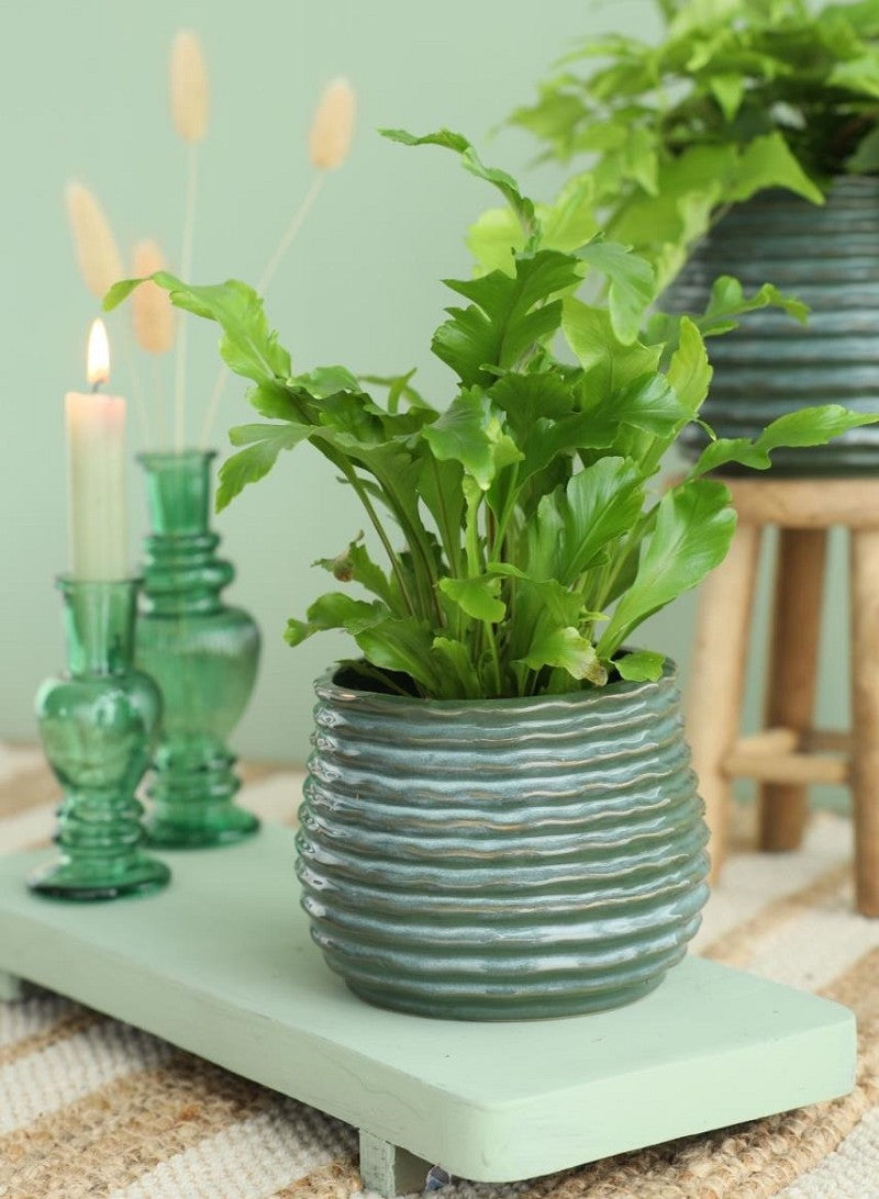 Pot Vert foncé Rise Ø6,5 x h: 8 cm (12 Pcs) [IFS-33952]