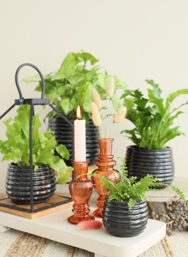 Pot Noir Anthracite Rise Ø6,5 x h: 8 cm (12 Pcs) [IFS-33972]