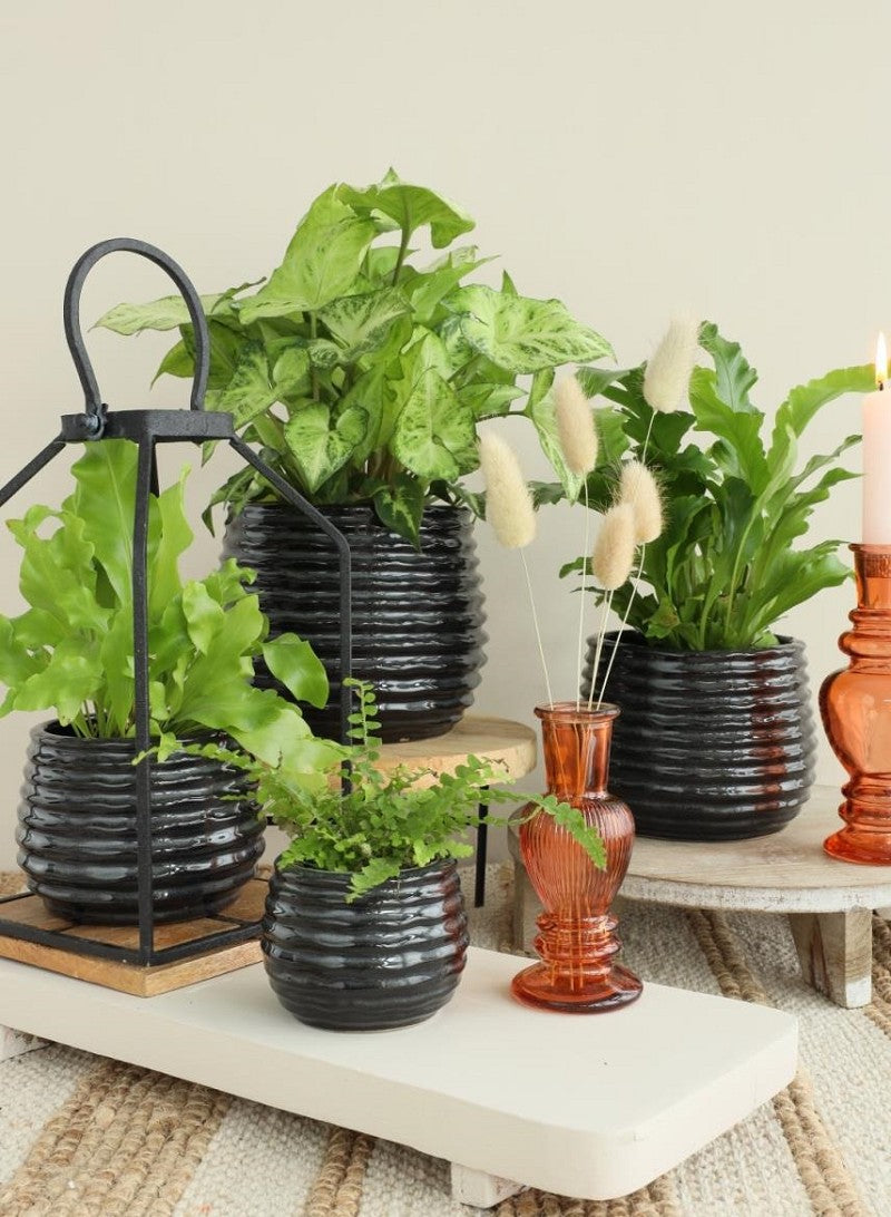 Pot Noir Anthracite Rise Ø10 x h: 13,5 cm (6 Pcs) [IFS-33974]