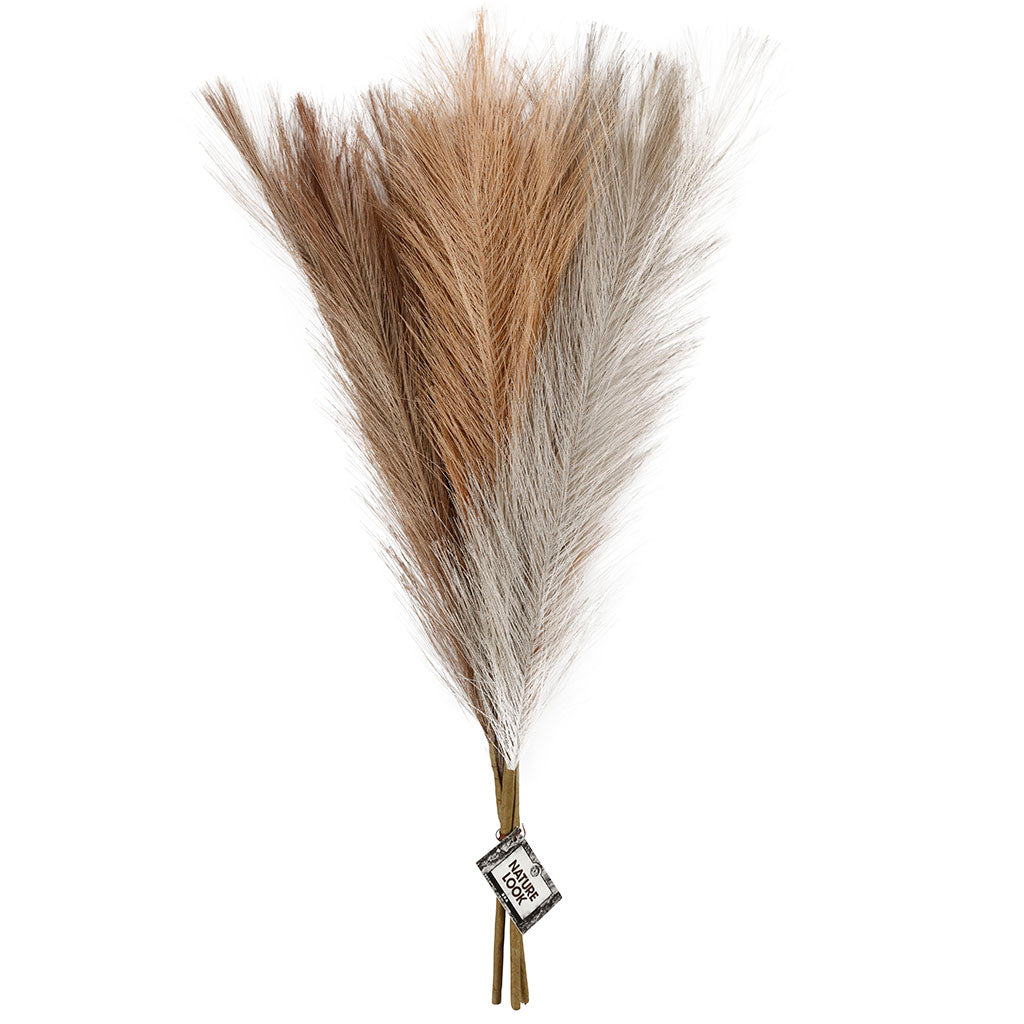 Herbe de la pampa, L : 50 cm, beige clair, brun clair, gris clair, 3 pièces/ 1 boule [HOB-50205]