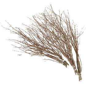 Branches de bouleau, L : 50-60 cm, 20 pièces/ 1 Pq. [HOB-50240]