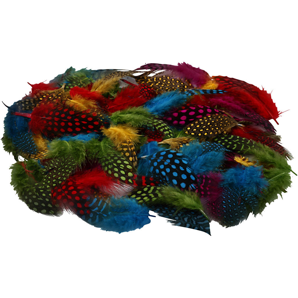 Plumes de pintade, ass. de couleurs, 3gr/ 1 Pq. [HOB-51813]