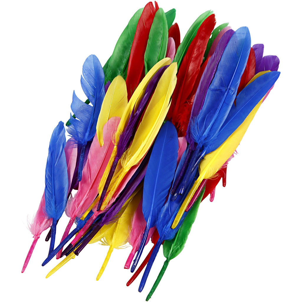 Plumes, L : 13 cm, ass. de couleurs, 48 pièces/ 1 Pq. [HOB-51817]