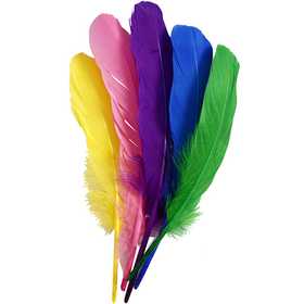 Plumes, L : 20 cm, ass. de couleurs, 36 pièces/ 1 Pq. [HOB-51818]