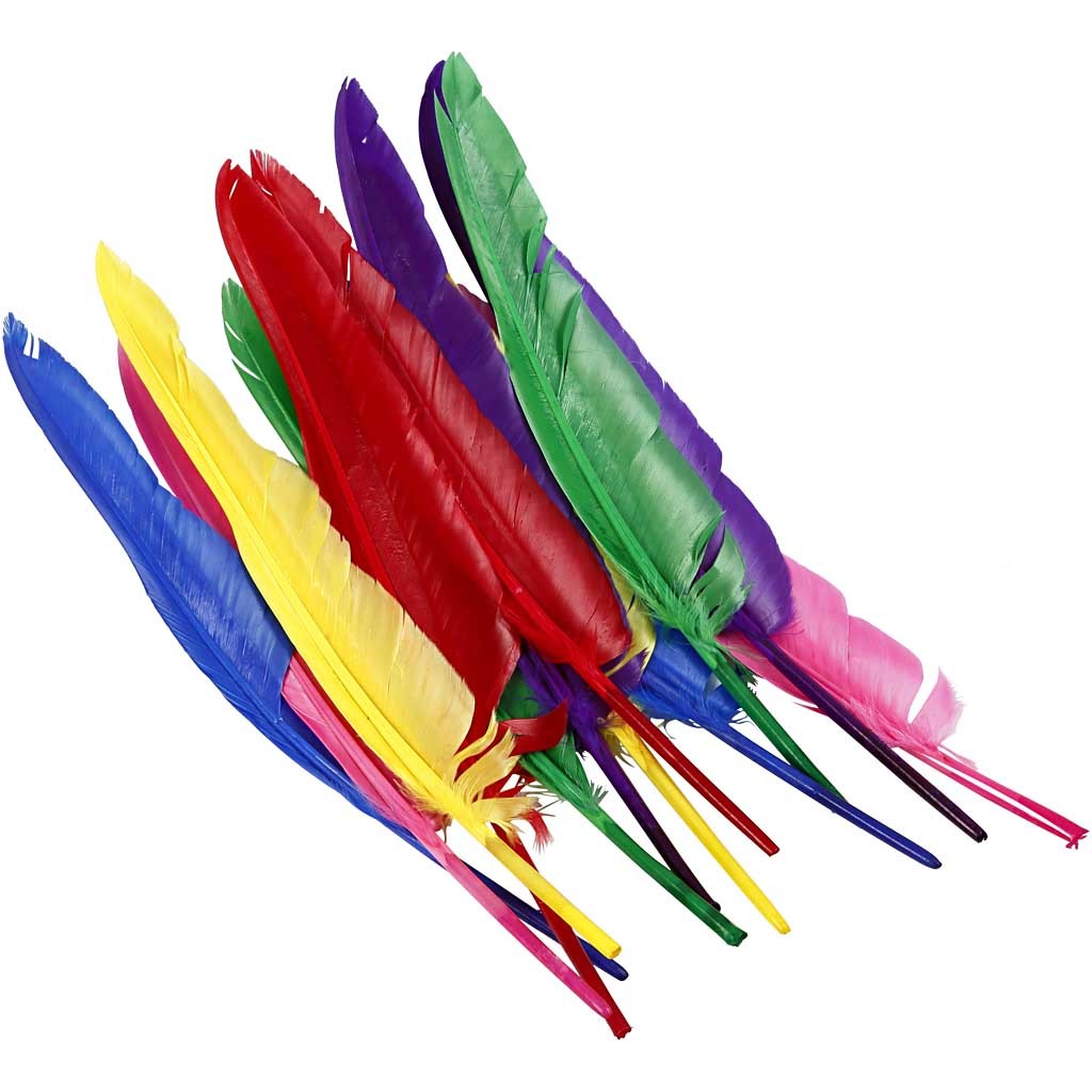 Plumes, L : 27 cm, ass. de couleurs, 12 pièces/ 1 Pq. [HOB-51819]