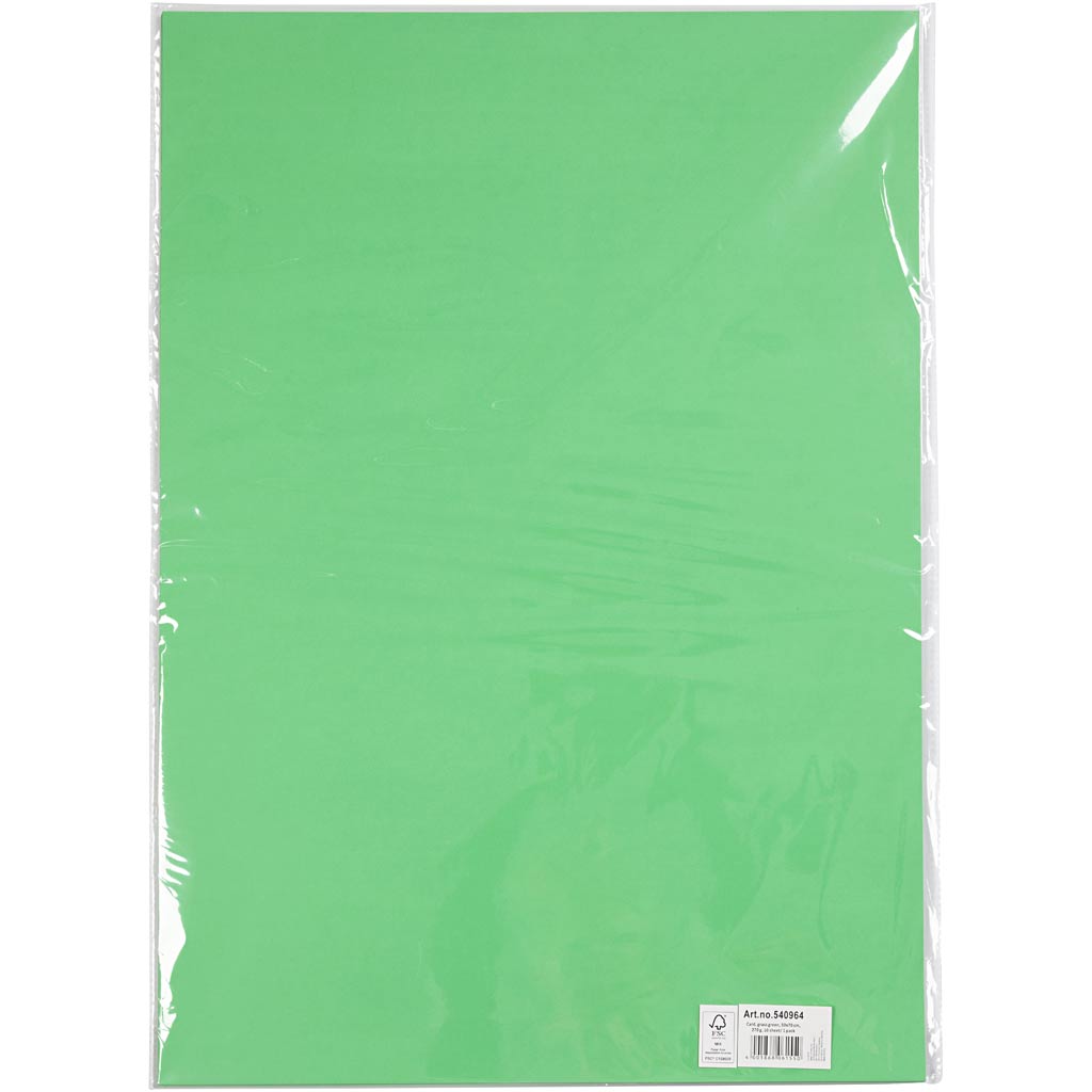 Papier Cartonné, feuille 50x70 cm, 270 gr, vert pré, 10 flles/ 1 Pq. [HOB-540964]