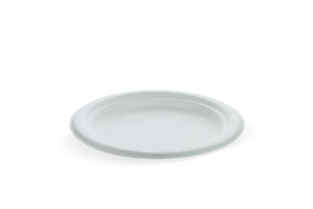 Assiette en Canne à Sucre Ø17.5cm (1.000 pcs) [TK-9988102]