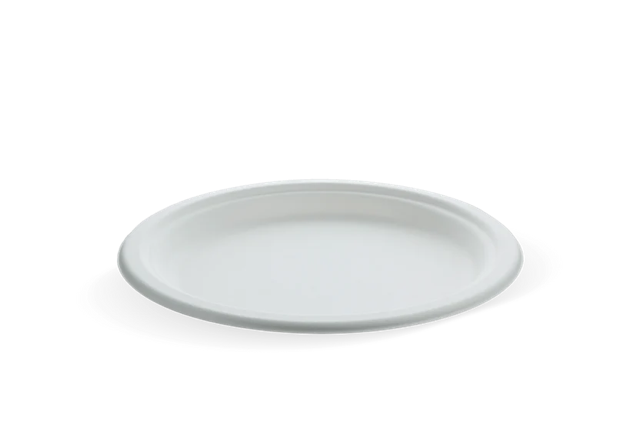 Assiette en Canne à sucre Ø22.5cm (500 pcs) [TK-9988103]