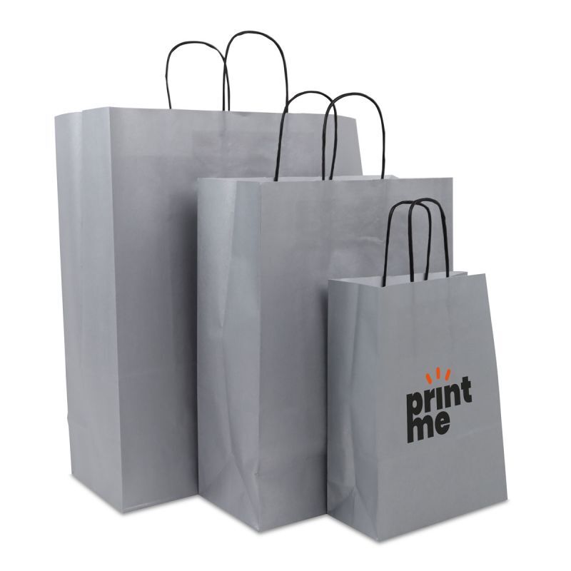 Sac à poignées torsadées en papier - Uni 18+8x24 cm Argent (250 pcs) [FP-DPT072]