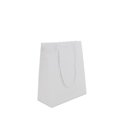 Sacs en plastique haut de gamme avec bouton-pression 20+10x25 cm Semi-transparent (200 pcs) [FP-DQC003]