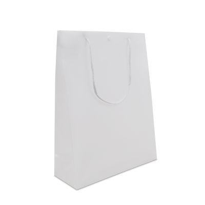 Sacs en plastique haut de gamme avec bouton-pression 26+10x35 cm Semi-transparent (100 pcs) [FP-DQC007]