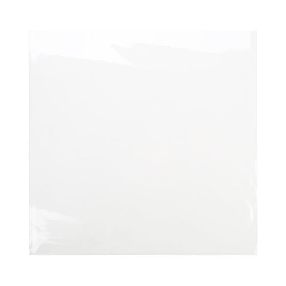 Sachet plastique plat grand format 31,6x31,1cm Transparent et Scellable sans Rabat (100 pièces) [B12X12NF]