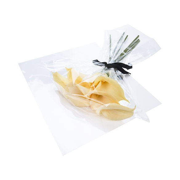 Sachet plastique plat grand format 51,9x62cm Transparent et Scellable sans Rabat (100 pièces) [B20NF]