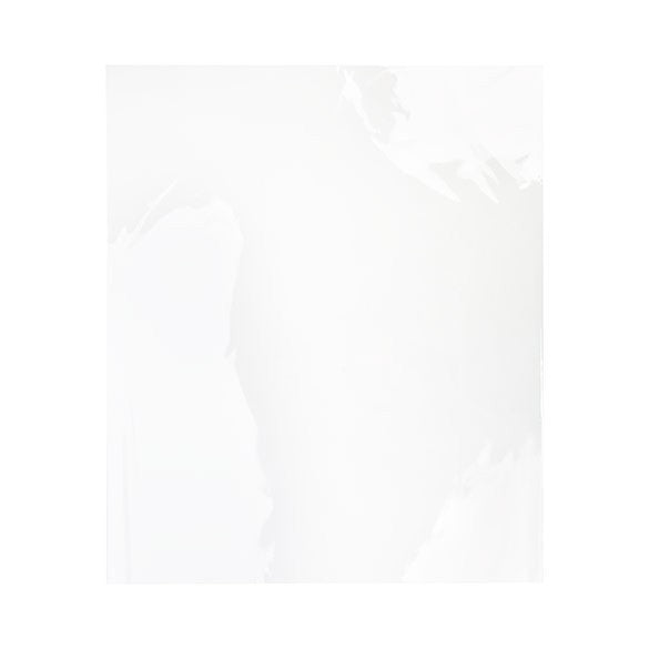 Sachet plastique plat grand format 57x72cm Transparent et Scellable sans Rabat (100 pièces) [B22NF]