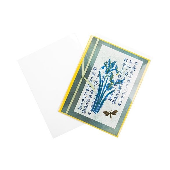 Sachet plastique transparence cristalline 11x14,5cm sans rabat (100 pièces) [B4B5NF]