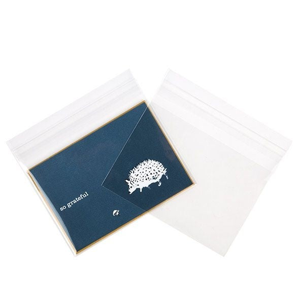Sachet plastique transparence cristalline 13,5x9,2cm avec Rabat Adhésif (100 pièces) [B53XL]