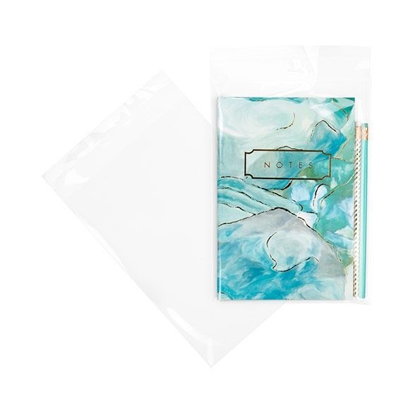 Sachet plastique transparence cristalline 17,5x24,1cm avec Rabat Adhésif (100 pièces) [B69XL]