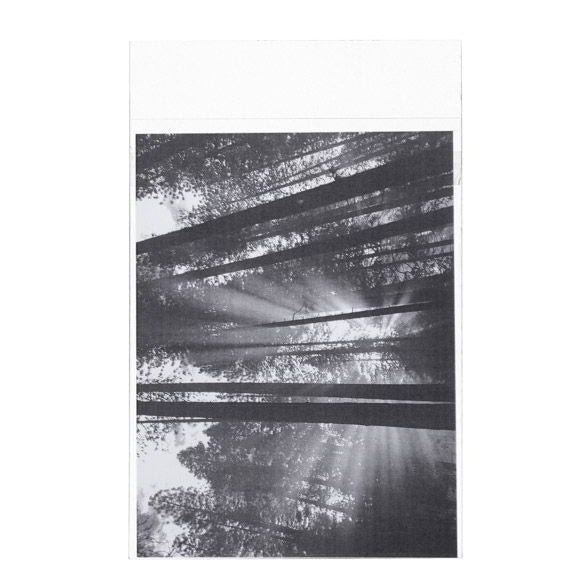 Sachet plastique plat grand format 13,8x18,4cm Refermable à Fermeture “Sécurisée” (100 pièces) [B75PC]