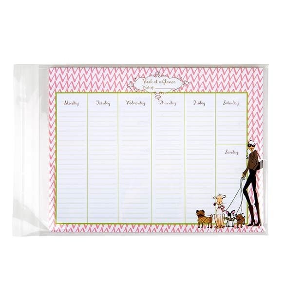 Sachet plastique plat grand format 22,9x30,5cm Refermable par Rabat Adhésif (100 pièces) [B912]