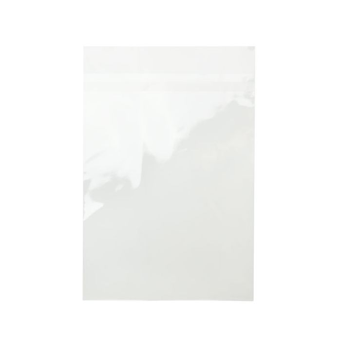 Sachet plastique grand format transparent et scellable sans Rabat 25.2x33.7 cm (100 pièces) [B913XPC]