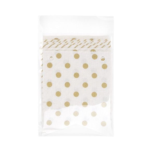 Sachet plastique plat grand format 15,5x21,5+3cm Refermable à Fermeture “Sécurisée” (100 pièces) [BA5SPC]