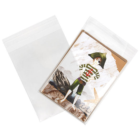 Sachet Écologique haute qualité refermable à rabat 13x17.1cm (100 pièces) [GC6B2]