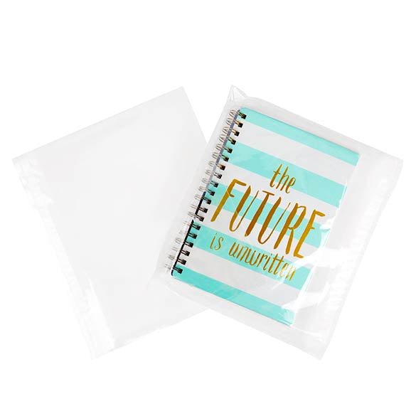 Sachet plastique plat grand format 30,5x23+4cm Refermable par Rabat Adhésif (100 pièces) [B12X9]