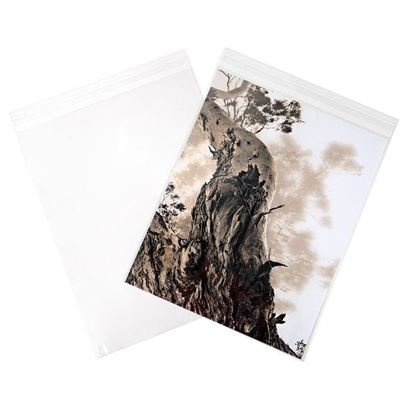 Sachet plastique à rabat avantageux transparence cristalline 28.6x35.9 (250 pièces) [VL11S]