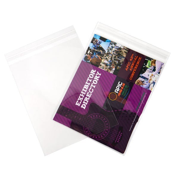 Sachet plastique à rabat avantageux transparence cristalline 22.2x28.1cm (250 pièces) [VL811S]
