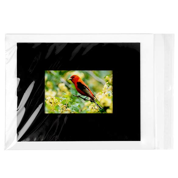 Sachet plastique à rabat avantageux transparence cristalline 24x31.2cm (250 pièces) [VL9]