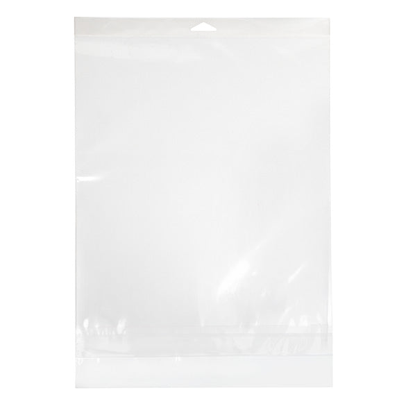 Sachet à trou de suspension refermable avec fermeture sécurisée 29.1x36.2cm (100 pièces) [HB11PC]