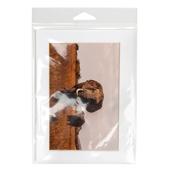 Sachet à trou de suspension refermable avec fermeture sécurisée 13.8x18.4cm (100 pièces) [HB75PC]