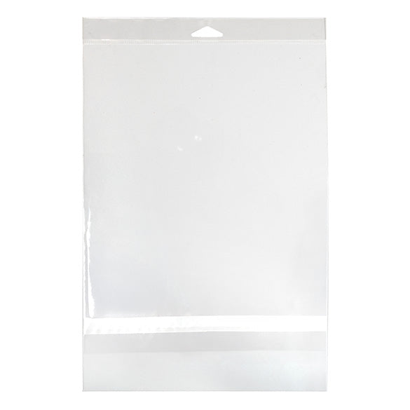Sachet à trou de suspension refermable avec fermeture sécurisée 22.7x28.3cm (100 pièces) [HB811PC]