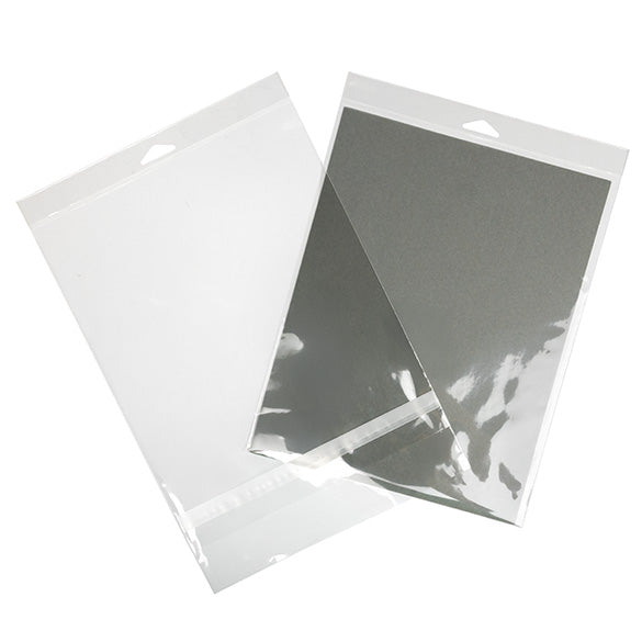 Sachet à trou de suspension refermable avec fermeture sécurisée 22.7x28.3cm (100 pièces) [HB811PC]