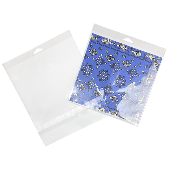 Sachet à trou de suspension refermable à transparence cristalline Fermeture sécurisée 21x20.5cm (100 pièces) [HB88SPC]