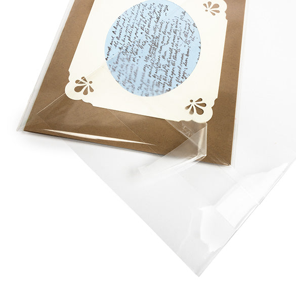 Sachet à trou de suspension refermable avec fermeture sécurisée 11.7x14.6cm (100 pièces) [HB54PC]