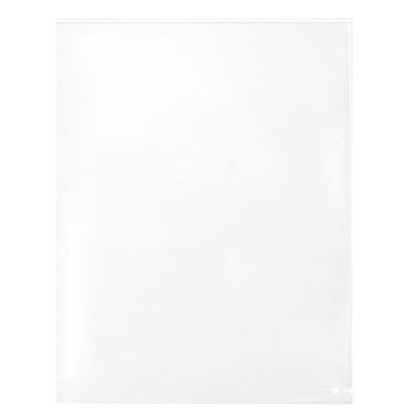 Sachet plastique transparence cristalline avantageux sans rabat 22.2x28.5cm (250 pièces) [VL811SNF]