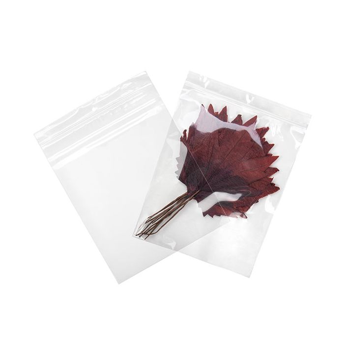 Grip Seal Bags with Hang hole 20.5x25.5cm Crystal Clear PP 75 micron