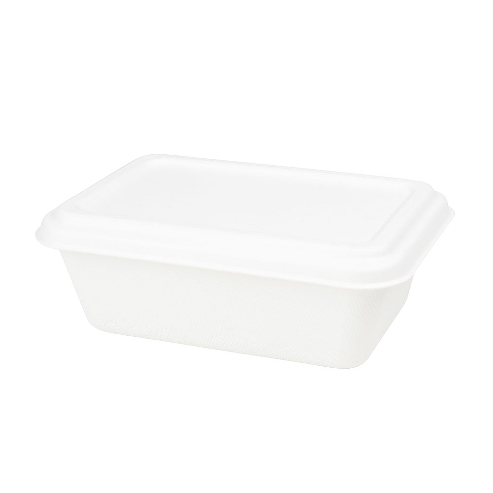 Barquette en canne à sucre 17x12x6 cm, 650 ml (500 pièces) [GB-DFC01226]