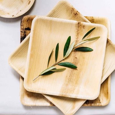 Assiette carrée Palm Leaf 18x18 cm (200 pièces) [GB-DTW05348]