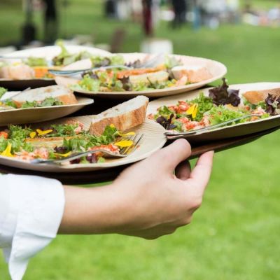 Assiette Palmware® Ø 25 cm, ronde (200 pièces) [GB-DTW05370]