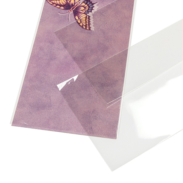 Sachet Écologique haute qualité scellable sans rabat 11x24.3cm (100 pièces) [GC49NF]