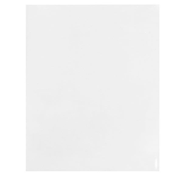 Sachet Écologique haute qualité scellable sans rabat 20.3x25.4cm (100 pièces) [GC810ENF]