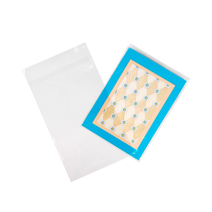 Sacs écologiques avec fermeture de protection 15,2x24,1cm (100 pièces) [GC69HPC]