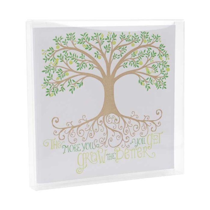 Boites cadeau plastique à transparence cristalline 13x1.6x12.9cm (25 Pièces) [FB11]