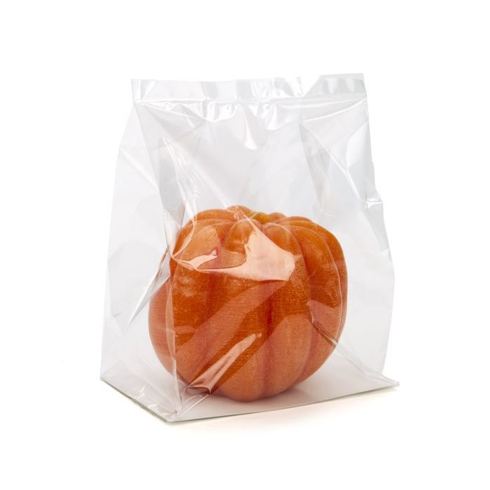 Sac à fond pliant thermoscellable avec insert en papier 17.8x10.2x22.9cm (100 pièces) [FGPBH8]