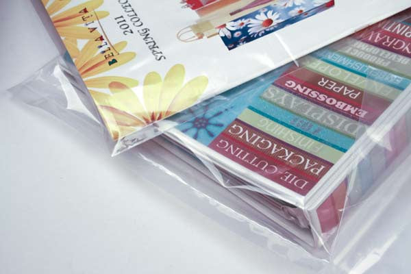 Sachet plastique transparence cristalline en PE-BD 38 microns 15.2x20.3cm (100 pièces) [PE1H68]