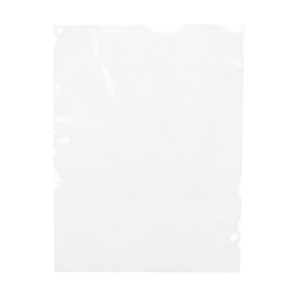 Sachet Plastiques 7.6x10.2cm Polypropylène Transparent (100 pièces) [FP134]