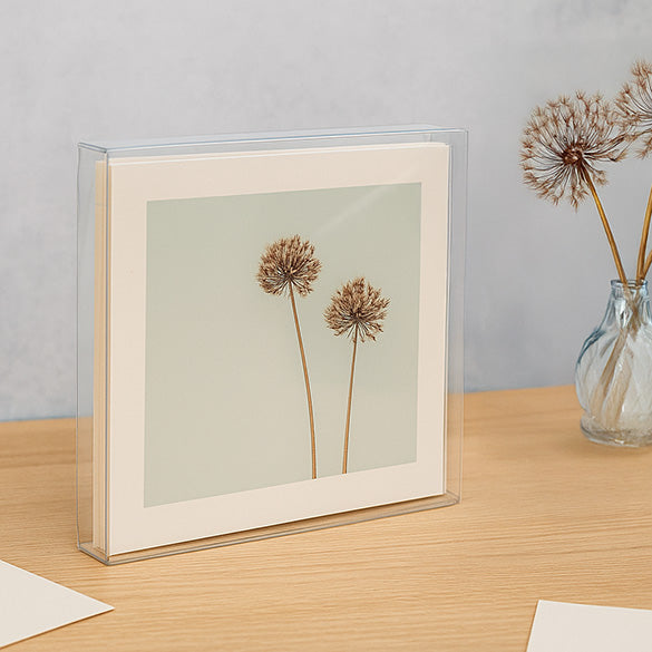 Boites cadeau plastique à transparence cristalline 20.6x1.6x20.6cm (25 pièces) [FPB133]